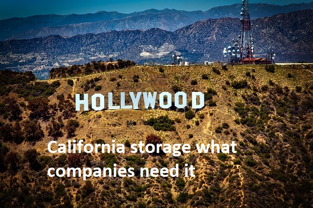 California storage what companies need it